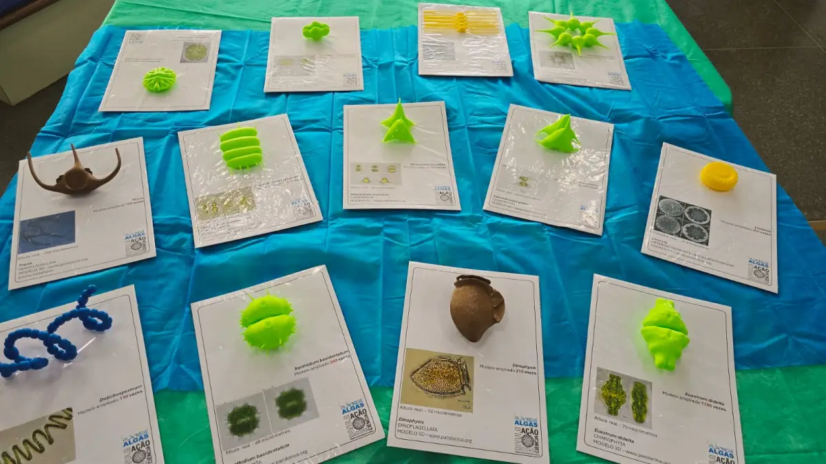 Exposição “Planeta Algas: Sem elas, a Terra não seria possível!” é aberta no hall da Biblioteca Central da Uefs