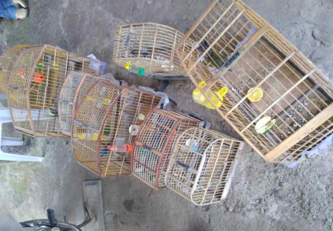 Polícia Civil autua dupla por crime ambiental em Planalto