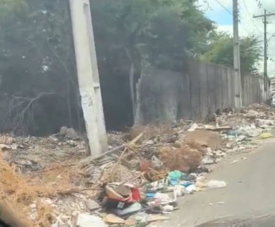 Cavalo em cima de passarela, lixo e vegetação alta; confira os flagrantes da comunidade