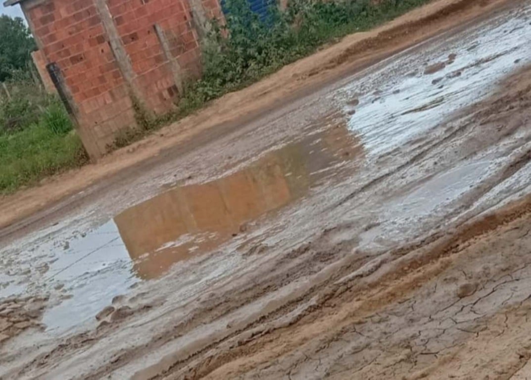 Lama na Rua Primavera-Pampalona