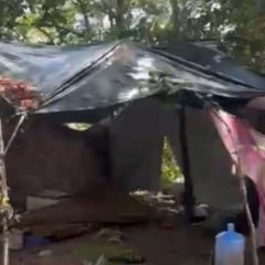 A&ccedil;&atilde;o Integrada