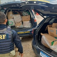 Mais de 300 kg de drogas s&atilde;o apreendidos durante fiscaliza&ccedil;&atilde;o na BR-116, em Feira de SantanaMais de 300 kg de drogas s&atilde;o apreendidos durante fiscaliza&ccedil;&atilde;o na BR-116, em Feira de Santana