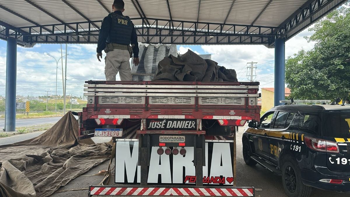 Mais de 300 kg de drogas são apreendidos durante fiscalização na BR-116, em Feira de Santana