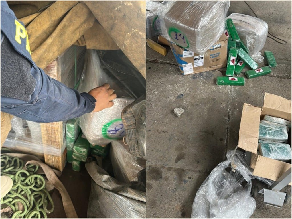 Mais de 300 kg de drogas são apreendidos durante fiscalização na BR-116, em Feira de Santana