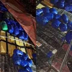 Apreensão próxima ao Paraná é recalculada e total chega a 89 toneladas de maconha, a maior das rodovias do Paraguai