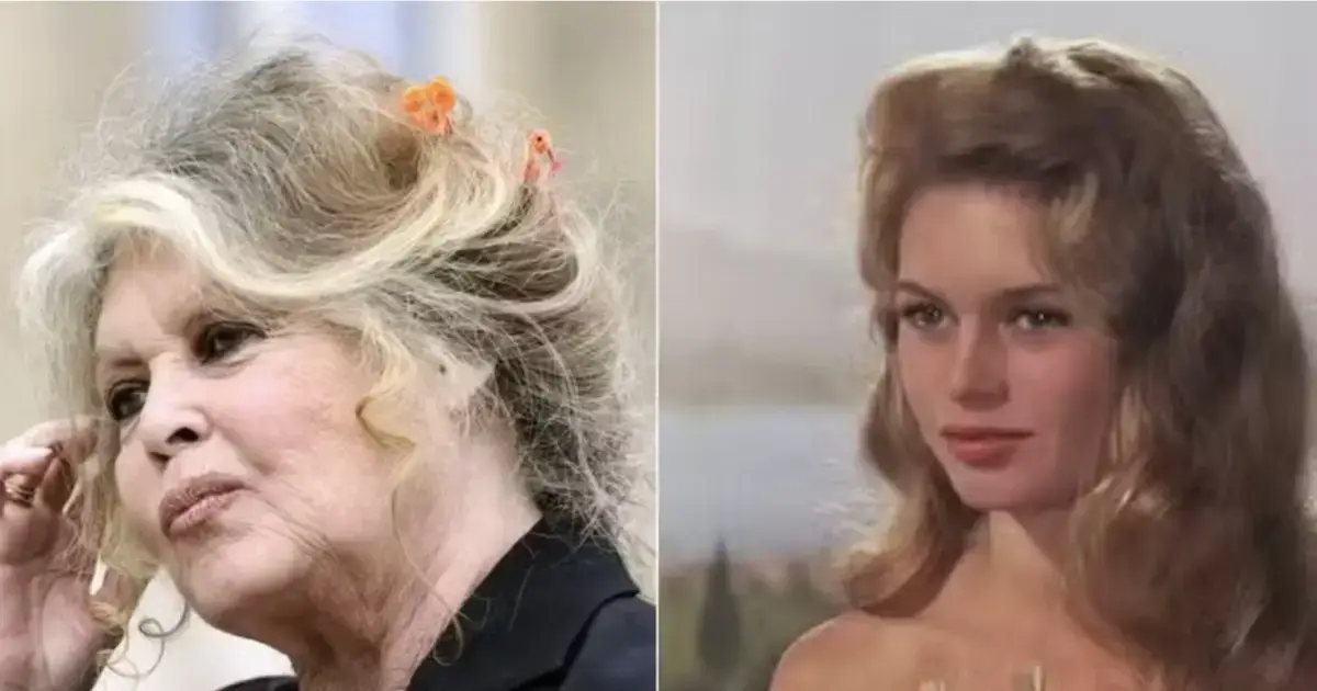 Brigitte Bardot, ícone do cinema francês, morre aos 91 anos Brigitte Bardot, ícone do cinema francês, morre aos 91 anos