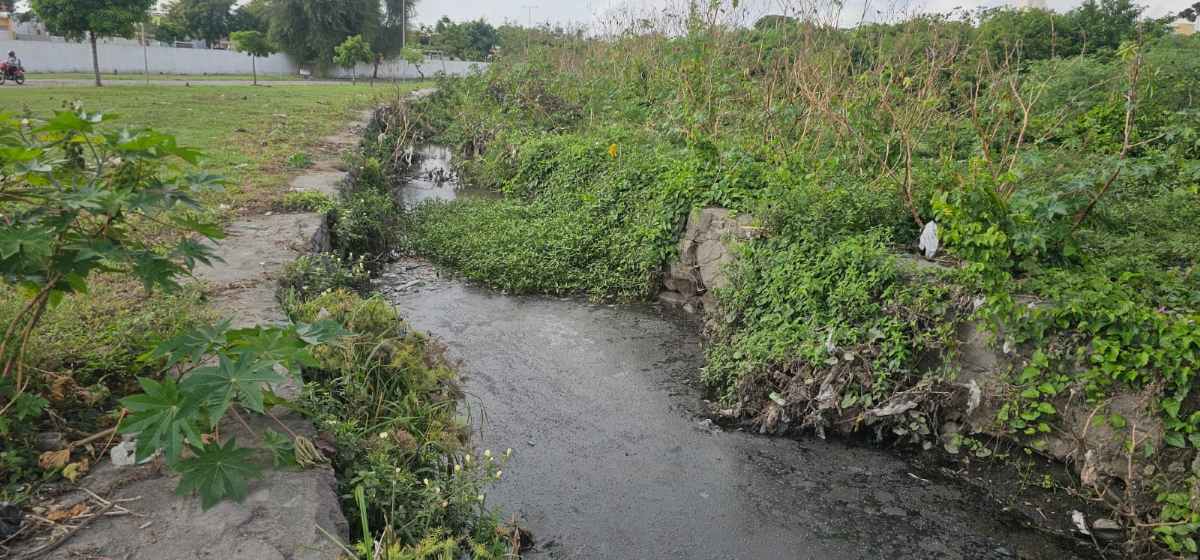 Com mato, terra e lama, situação do canal da Rua Lopes Rodrigues preocupa moradores do bairro Irmã Dulce