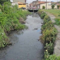Com mato, terra e lama, situação do canal da Rua Lopes Rodrigues preocupa moradores do bairro Irmã Dulce