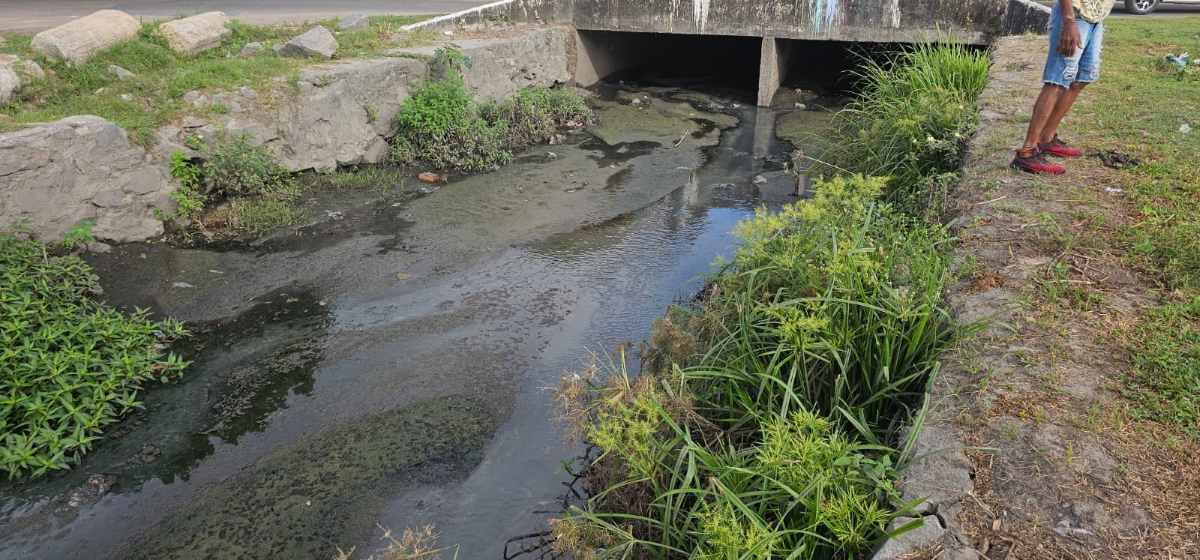 Com mato, terra e lama, situação do canal da Rua Lopes Rodrigues preocupa moradores do bairro Irmã Dulce