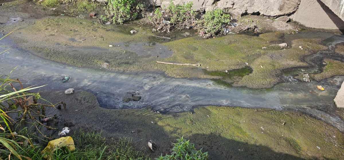 Com mato, terra e lama, situação do canal da Rua Lopes Rodrigues preocupa moradores do bairro Irmã Dulce