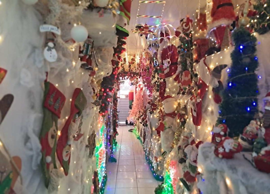 Feirense transforma casa em “Caminho Mágico para o Natal”, atraindo visitantes com cenário temático iluminado