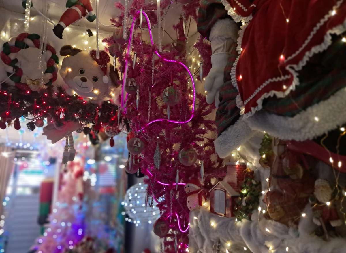 Feirense transforma casa em “Caminho Mágico para o Natal”, atraindo visitantes com cenário temático iluminado Feirense transforma casa em “Caminho Mágico para o Natal”, atraindo visitantes com cenário temático iluminado