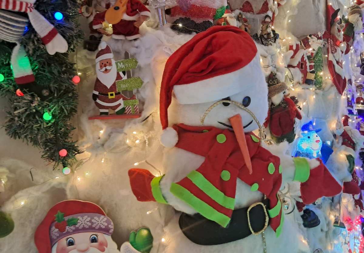 Feirense transforma casa em “Caminho Mágico para o Natal”, atraindo visitantes com cenário temático iluminado Feirense transforma casa em “Caminho Mágico para o Natal”, atraindo visitantes com cenário temático iluminado