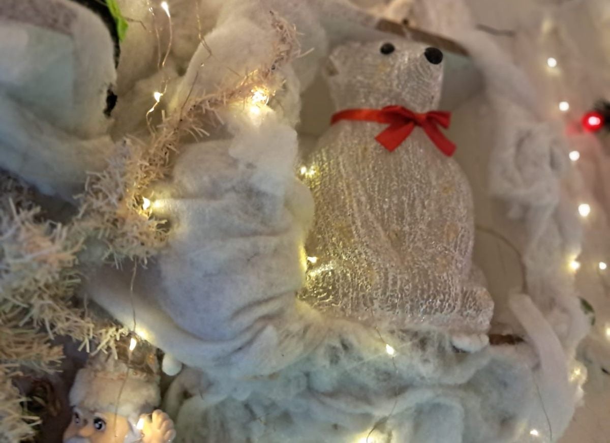 Feirense transforma casa em “Caminho Mágico para o Natal”, atraindo visitantes com cenário temático iluminado Feirense transforma casa em “Caminho Mágico para o Natal”, atraindo visitantes com cenário temático iluminado