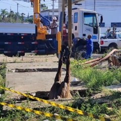 cavalo morre após cair em buraco no bairro tomba