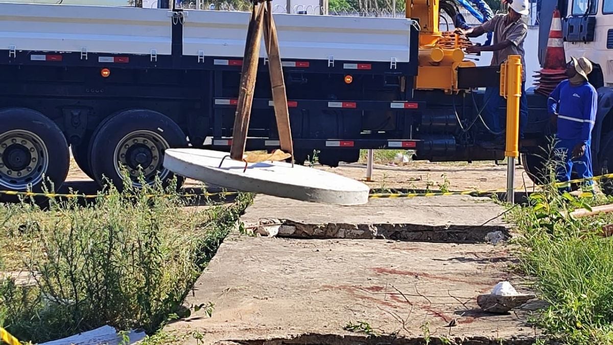 cavalo morre após cair em buraco no bairro tomba