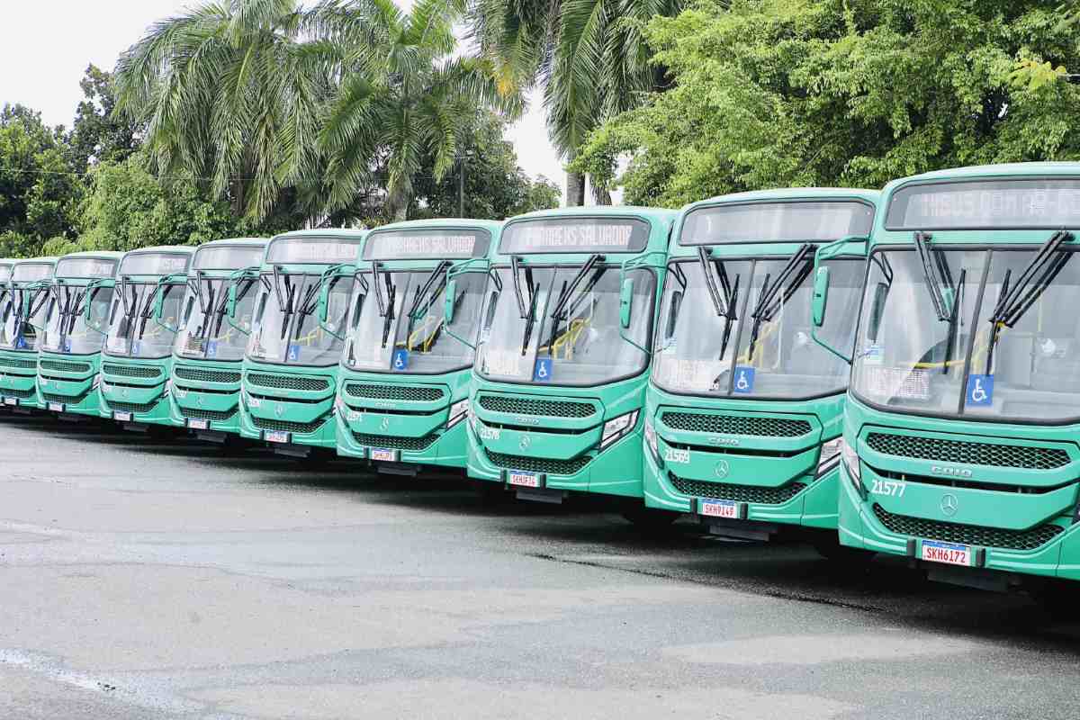 Compra de Ônibus em Salvador