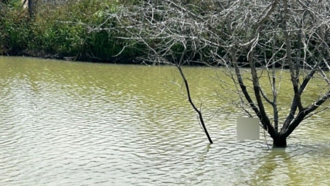 corpo encontrado no córrego