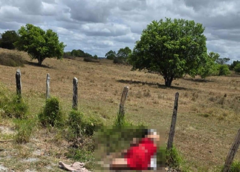 Crime contra mullher trans