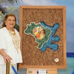 Exposição gratuita 'Conchas Preciosas' celebra Amazônia Azul e biodiversidade marinha na Barra, em Salvador