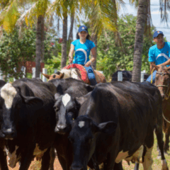 Fundação Bradesco abre 35 vagas gratuitas para curso técnico em Agropecuária