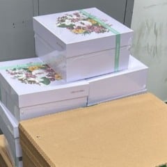 Mercadoria Apreendida