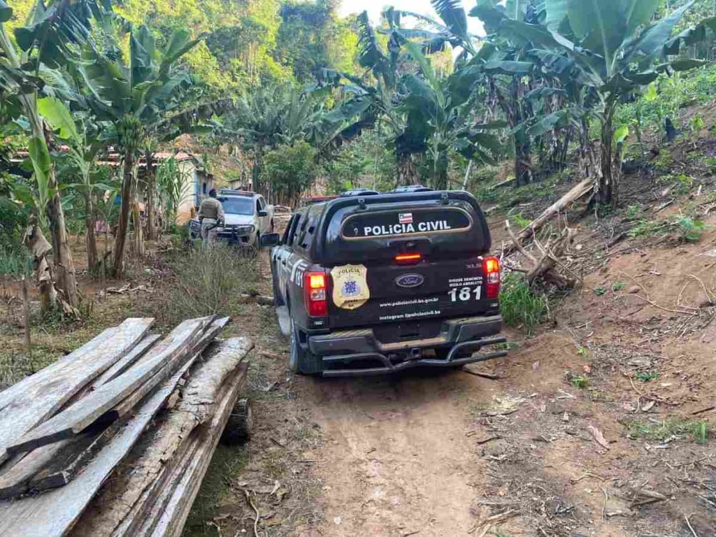 PolÃcia Civil e PolÃcia Militar apreendem plantação de maconha na zona rural de Guaratinga PolÃcia Civil e PolÃcia Militar apreendem plantação de maconha na zona rural de Guaratinga