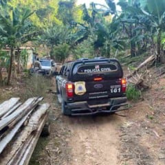 Polícia Civil e Polícia Militar apreendem plantação de maconha na zona rural de Guaratinga