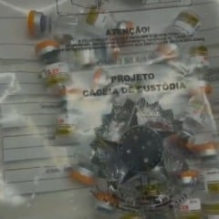 princípio ativo em medicamento para canetas emagrecedoras