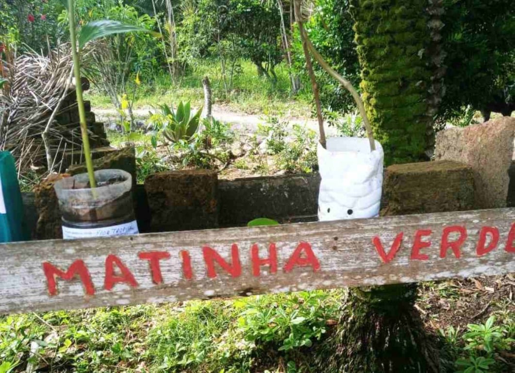 Projeto Matinha Verde Projeto Matinha Verde