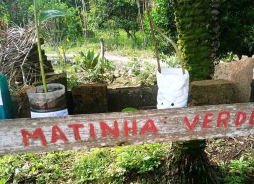 Projeto Matinha Verde