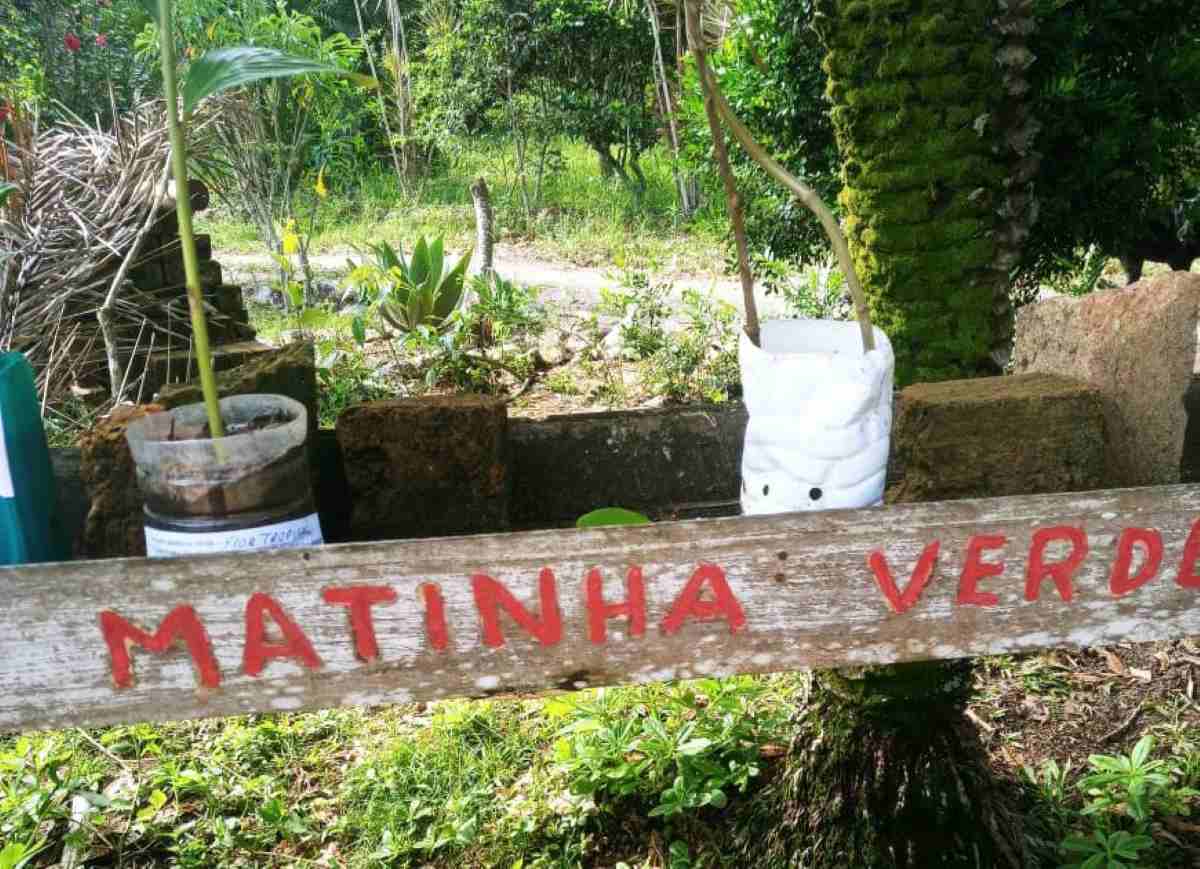 Projeto Matinha Verde