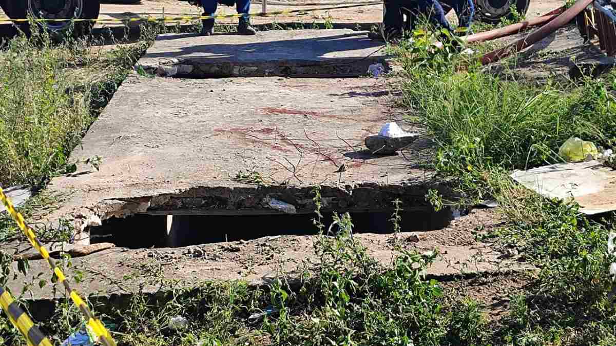 cavalo morre após cair em buraco no bairro tomba