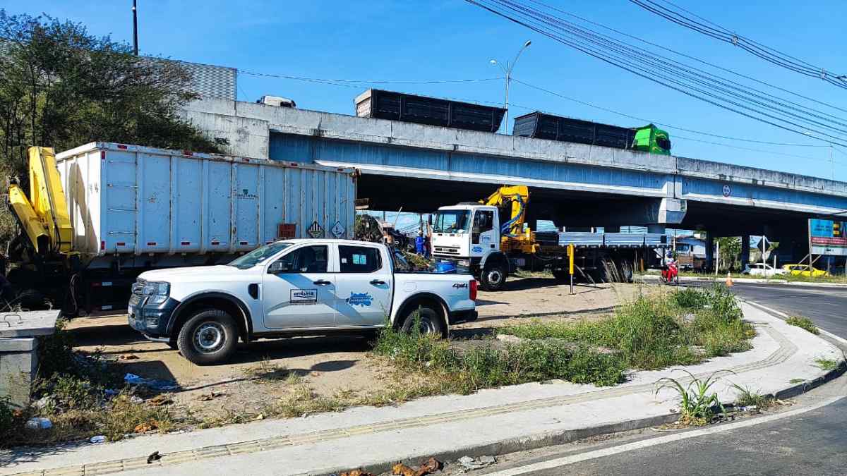 cavalo morre após cair em buraco no bairro tomba