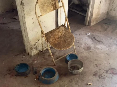 Polícia prende mulher por maus-tratos e resgata cão em estado crítico em Feira de Santana