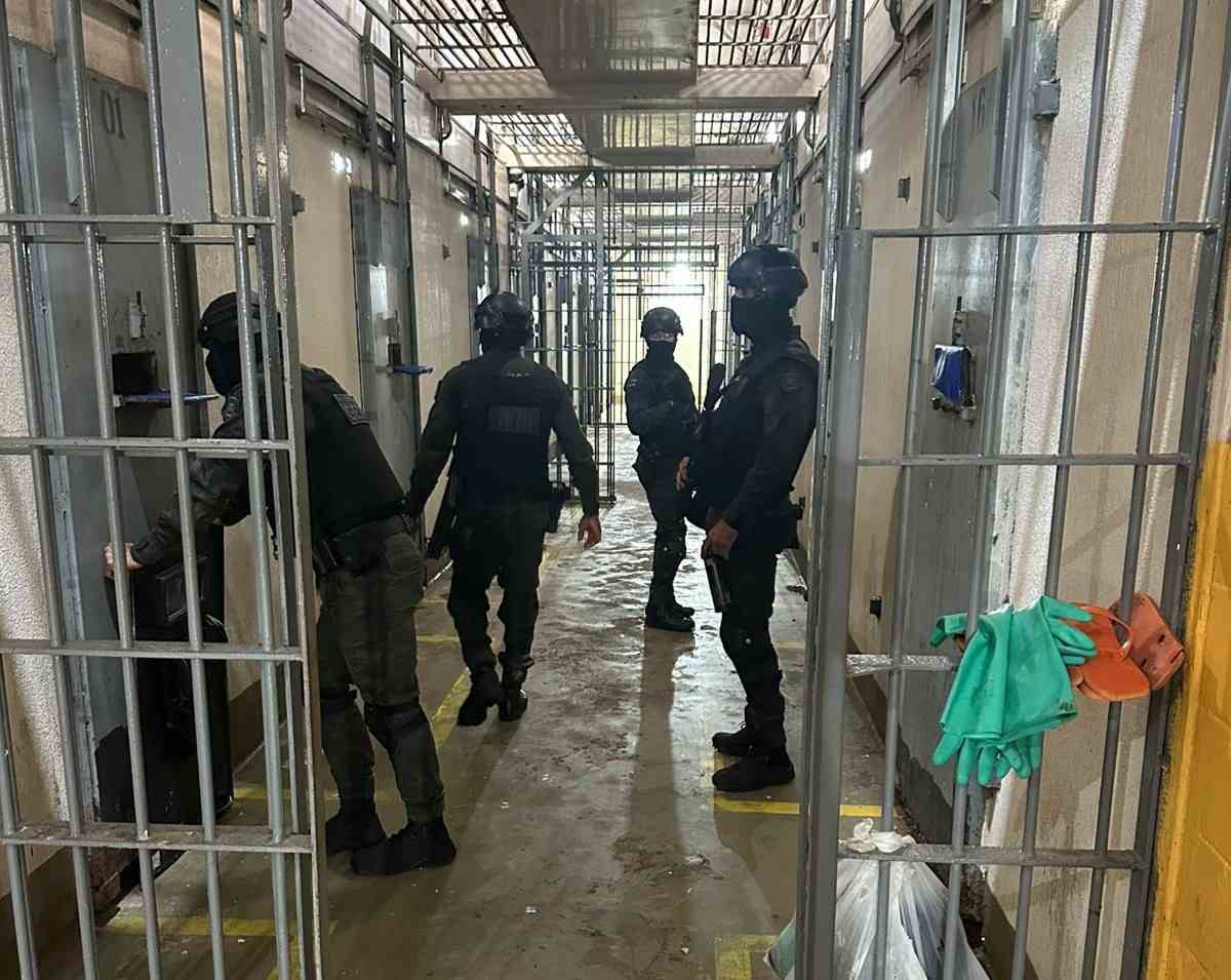 revista integrada revista integrada