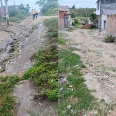 Terrenos abandonados, ruas tomadas pelo mato e vias intransitáveis geram reclamações em bairros de Feira de Santana