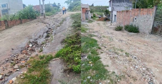 Terrenos abandonados, ruas tomadas pelo mato e vias intransitáveis geram reclamações em bairros de Feira de Santana