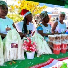 Vila Natalina de Antônio Cardoso