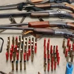 Opera&ccedil;&atilde;o contra ca&ccedil;a ilegal apreende espingardas e muni&ccedil;&otilde;es em &Eacute;rico Cardoso