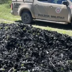 PM desmonta esquema ilegal de produ&ccedil;&atilde;o de carv&atilde;o e destr&oacute;i 24 fornos em Morpar&aacute;