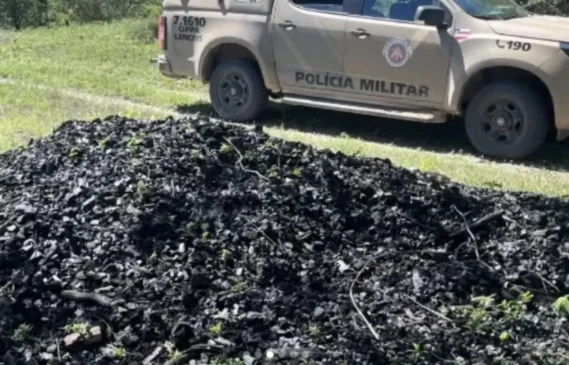 PM desmonta esquema ilegal de produção de carvão e destrói 24 fornos em Morpará
