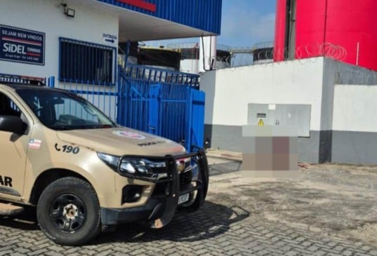 Corpo é encontrado às margens da BR-101 em Feira de Santana | Foto: Reprodução