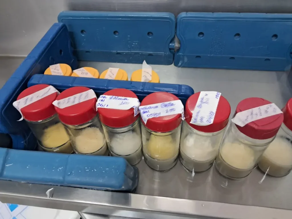 Estoque do Banco de Leite do Hospital da Mulher está em estado crítico; saiba como doar