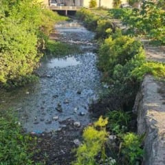 Moradores reclamam de situação do córrego no bairro Irmã Dulce em Feira de Santana | Foto: Paulo José/ Acorda Cidade