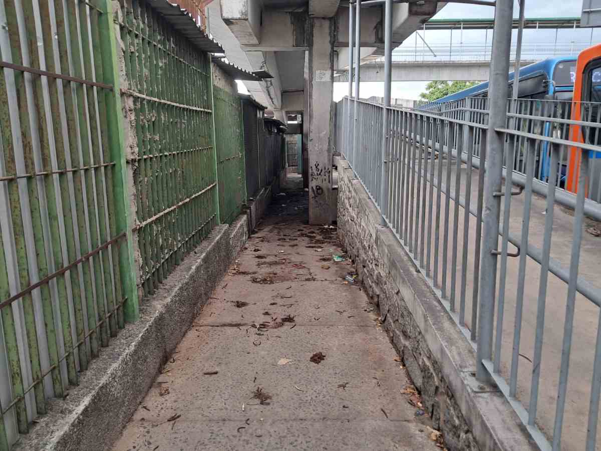 Sanitário público a céu aberto provoca transtornos ao lado do Terminal Central