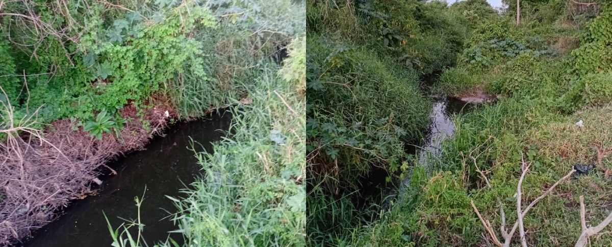 Moradores denunciam lixo, ruas sem identificação, risco de alagamentos e vias esburacadas em Feira de Santana