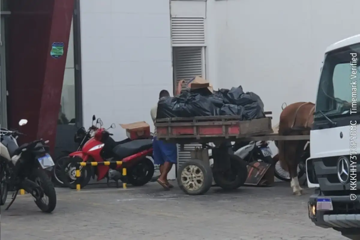 Sesp multa empresa por descarte irregular em Feira de Santana