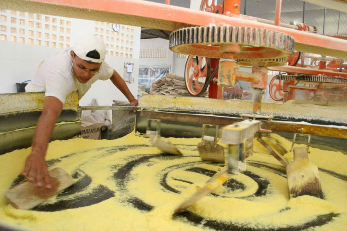 Produção de farinha