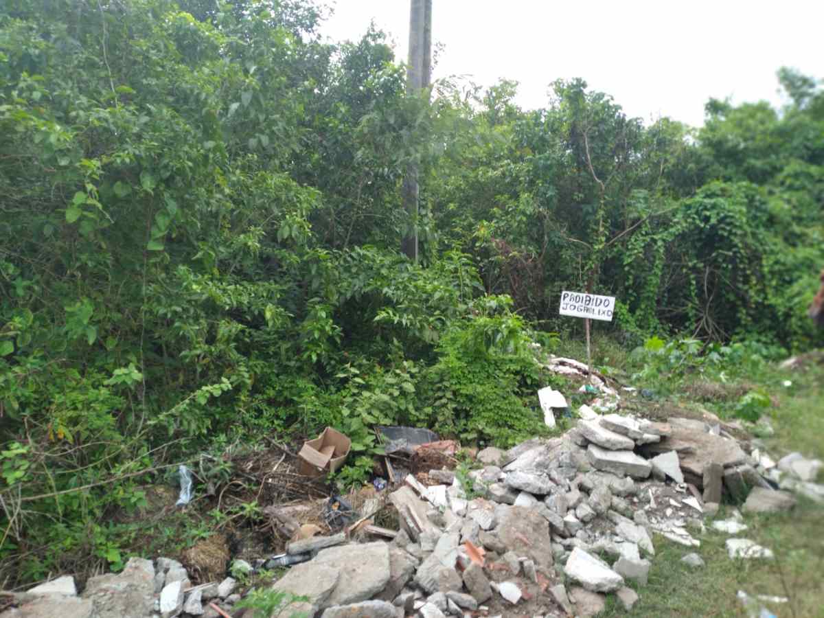 Rua Alécio Pereira, bairro Tomba- lixo
